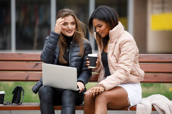 Two friends using laptop for chatting on Internet — Stock Photo, Image