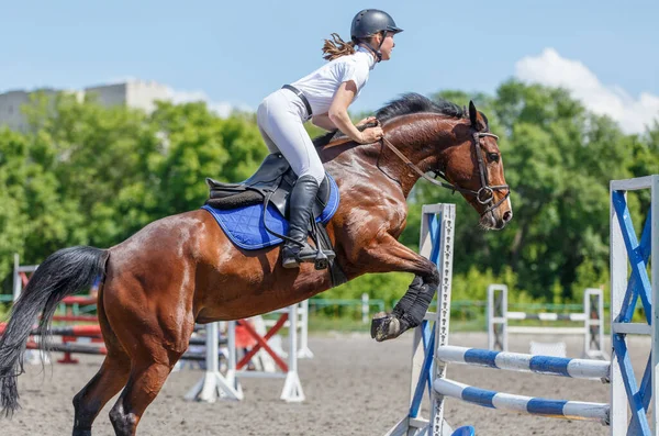 Jeune cavalier fille sautant sur le saut d'obstacles — Photo