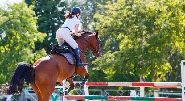 Joven jinete de caballo chica saltando en show saltar — Foto de Stock