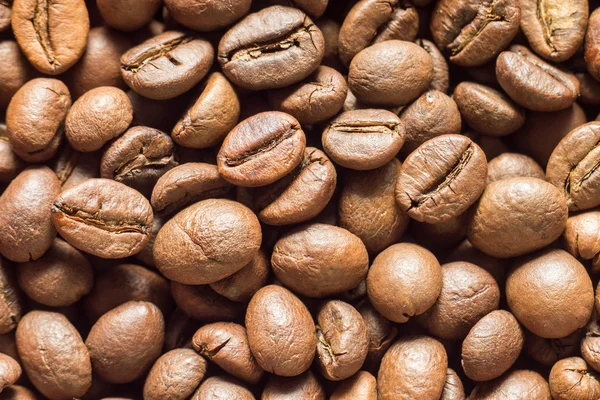 Coffee beans close up background texture — Stock Photo, Image
