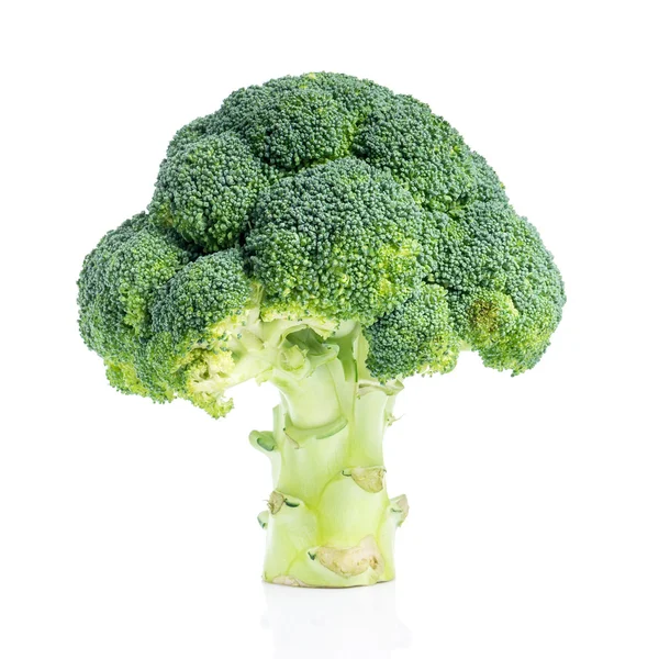 Broccoli freschi verdi isolati su fondo bianco — Foto Stock