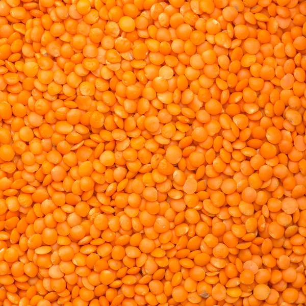 Raw lentil — Stock Photo, Image