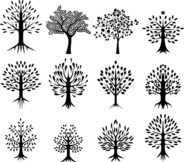 Collection of black tree silhouette life background — Stock Vector