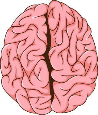 insan sol ve sağ beyin çizgi film