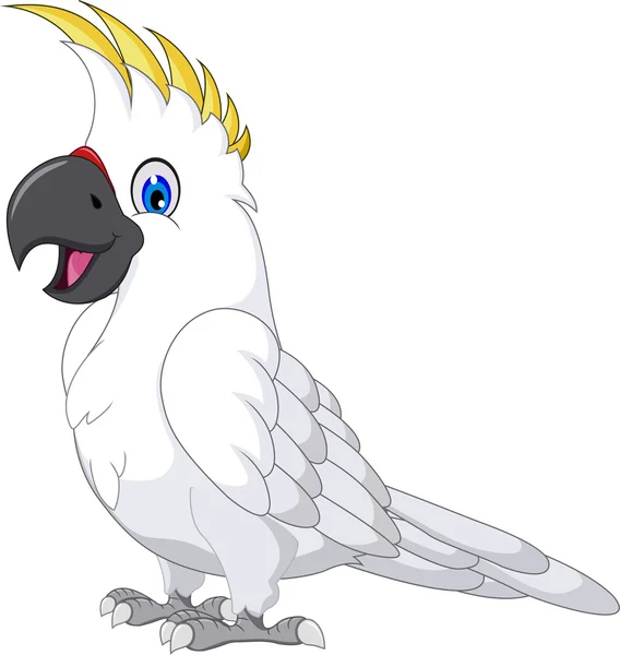 Cockatoo cartoon posing — Stock Vector