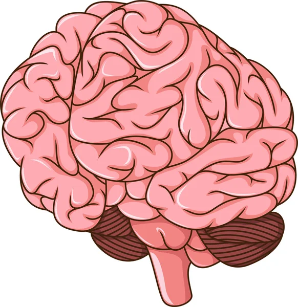 Menselijk brein stolsels cartoon — Stockvector