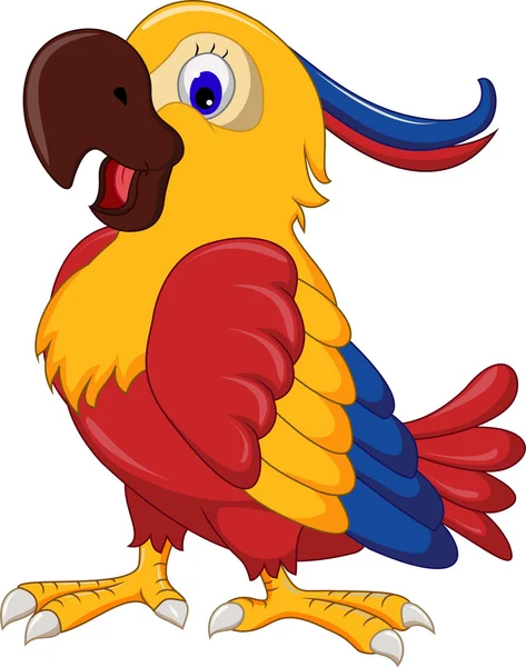 Cute parrot cartoon — Stock Vector