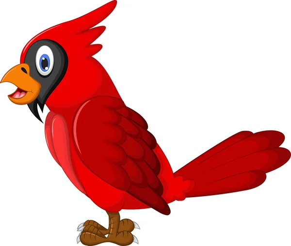 Bonito vermelho papagaio desenhos animados — Vetor de Stock