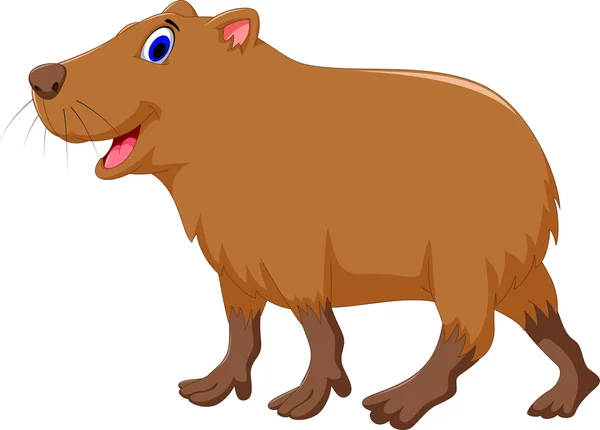 capivara animal colori desenho animado ilustração 20088315 Vetor no Vecteezy