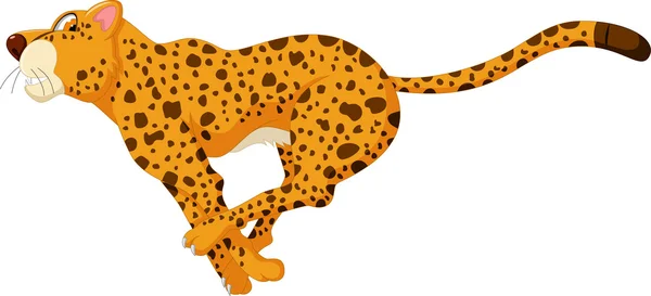 Cute cheetah cartoon running — Stock Vector