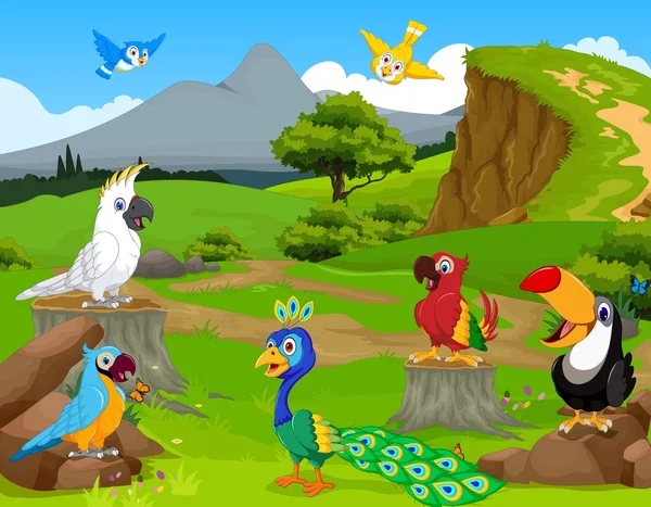 Αστεία διαφορετικού είδους πουλιά γελοιογραφία ζούγκλα με τοπίο φόντου — Διανυσματικό Αρχείο