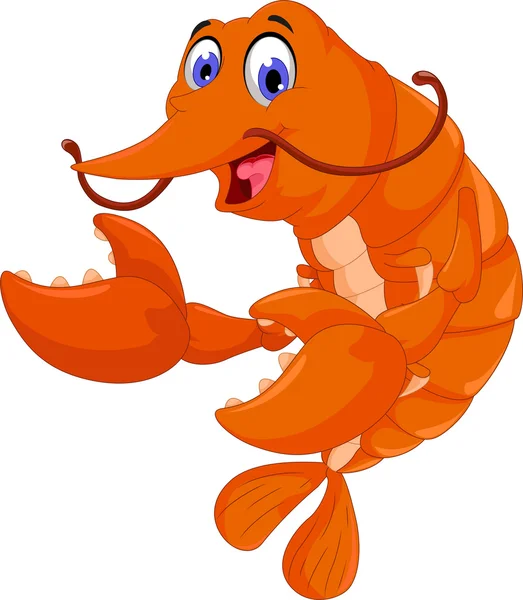 Cute shrimp cartoon for you design — Stock Vector