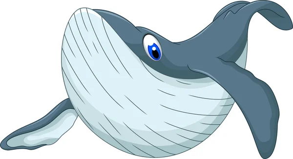 Söta whale tecknade för du design — Stock vektor