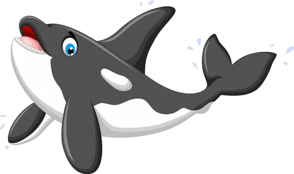 Cute killer whale cartoon posing — Stock Vector