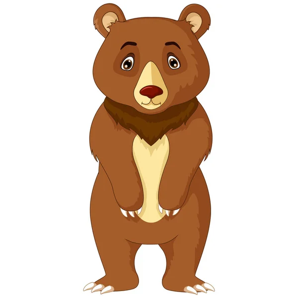 Αστεία Αρκούδα Διάνυσμα Κινουμένων Σχεδίων — Διανυσματικό Αρχείο
