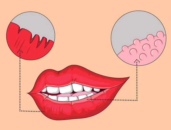ภาพของร ปากขยายภายใต องจ ลทรรศน — ภาพเวกเตอร์สต็อก