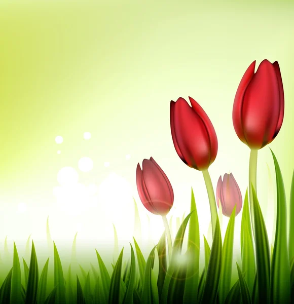 Fondo con tulipanes — Vector de stock