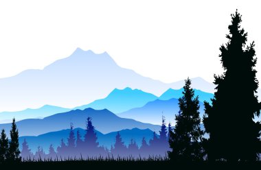 çam ormanı geçmişi