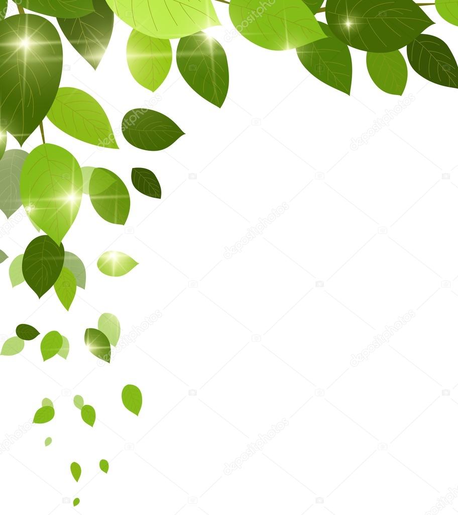 Natural green background with leaf fall leaves Stock Vector Image by  ©starlight789 #65041653