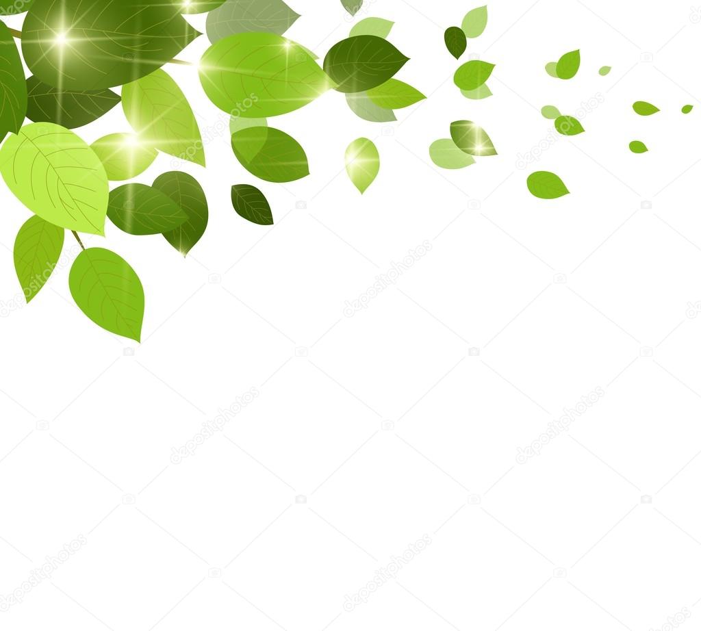 Natural green background with leaf fall leaves Stock Vector Image by  ©starlight789 #65042405