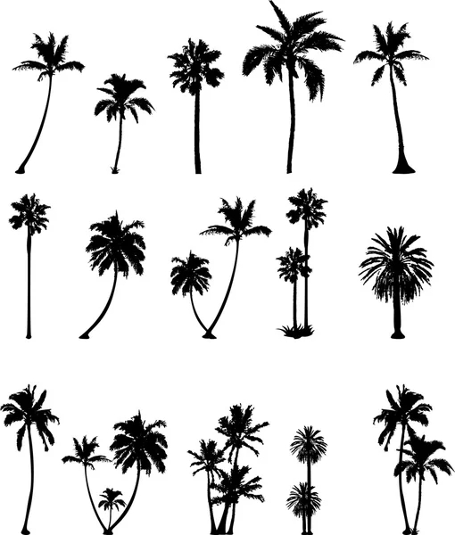 Various trees silhouettes for you design — Stock Vector