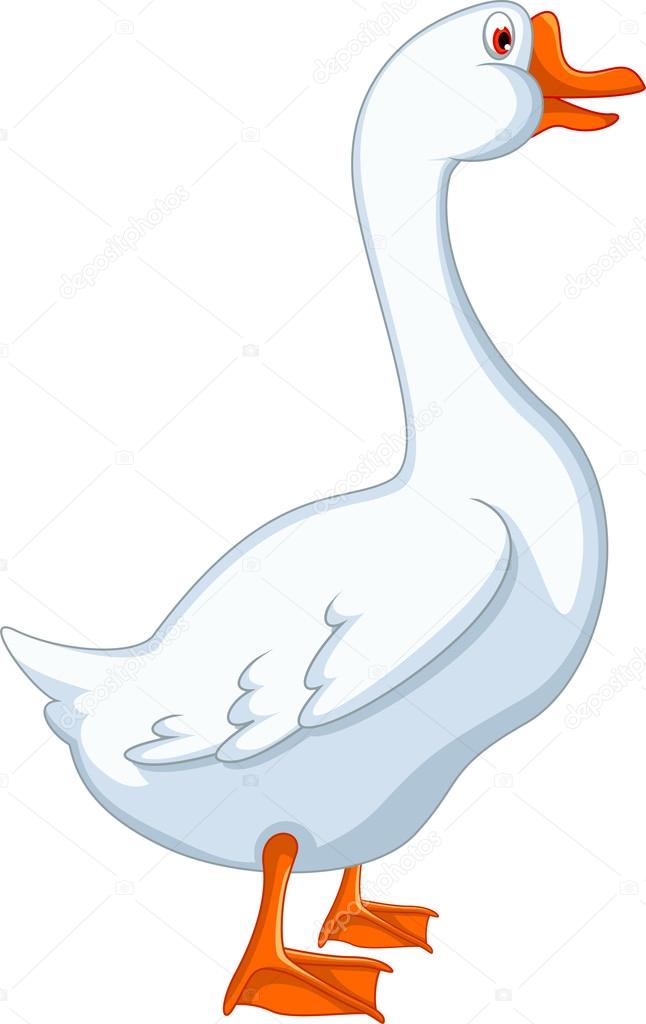 White domestic goose cartoon