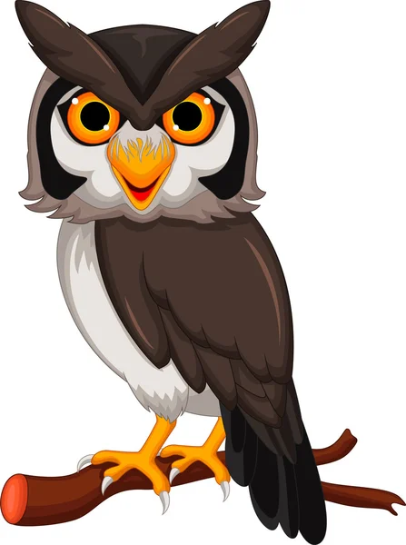 Cute owl cartoon posing — Stock Vector