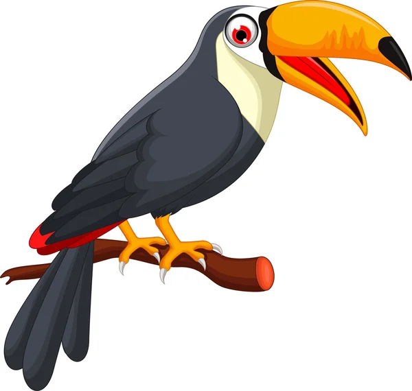 Lindo pájaro de dibujos animados toucan — Vector de stock