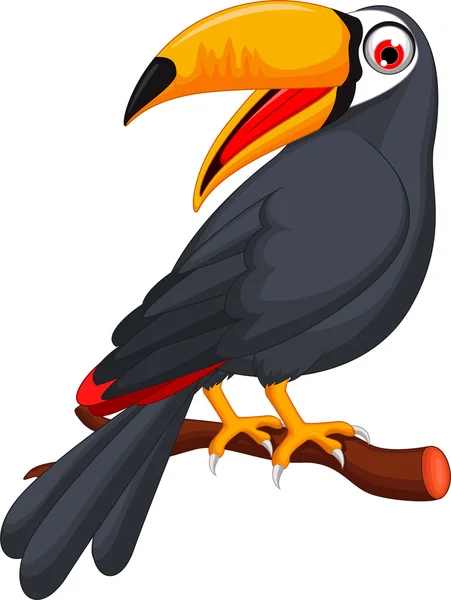 Cute cartoon toucan bird — Stockvector