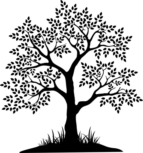 あなたの設計のための黒い木のシルエット — ストックベクタ