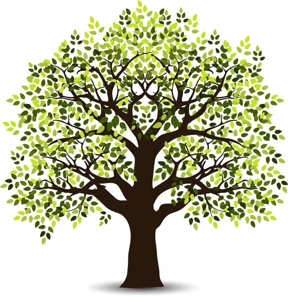 Árbol estilizado para su diseño — Vector de stock