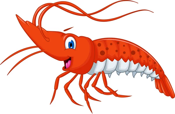 Cute shrimp cartoon — Stock Vector