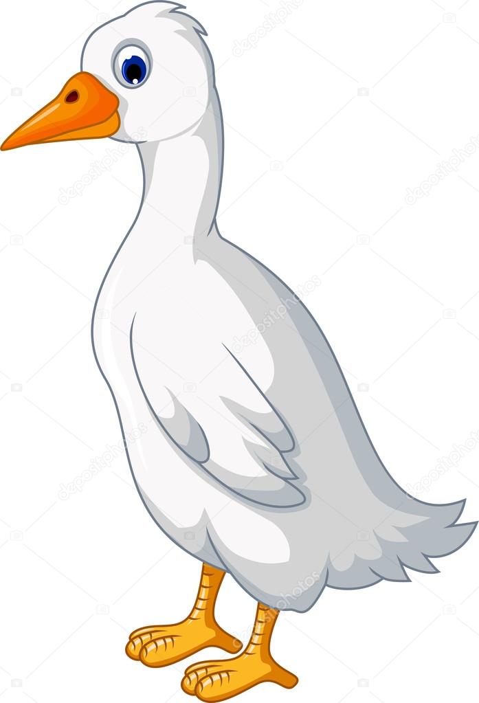 10,286 ilustraciones de stock de Pato blanco | Depositphotos 10,286 ilustraciones de stock de Pato blanco | Depositphotos