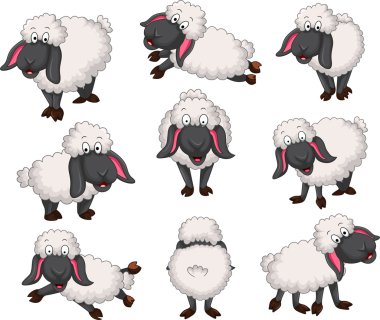 Vektör güzel dizi karikatür koyun için yo tasarım