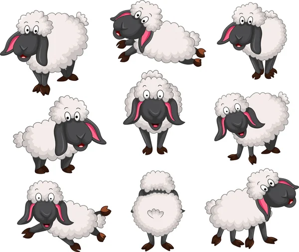 Bel ensemble de moutons vecteur dessin animé pour la conception yo — Image vectorielle