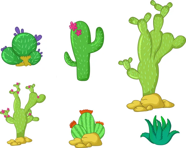 Different types of cactus plants realistic decorative icons set for you design — Stock Vector