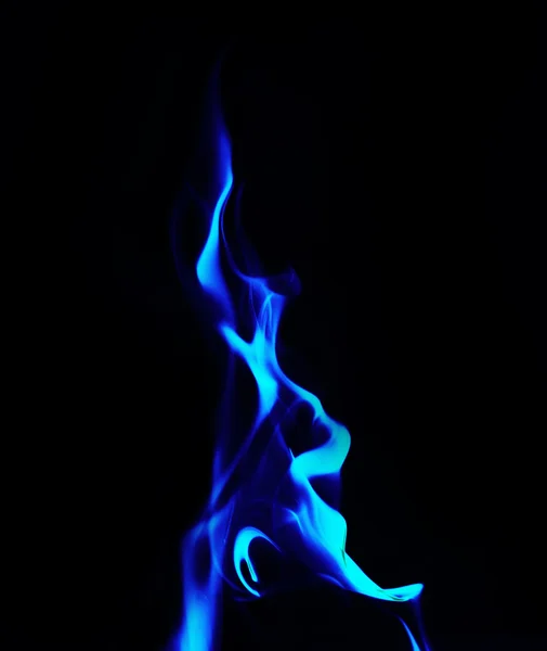 Single blue Fire flame on black background — Stock Photo, Image