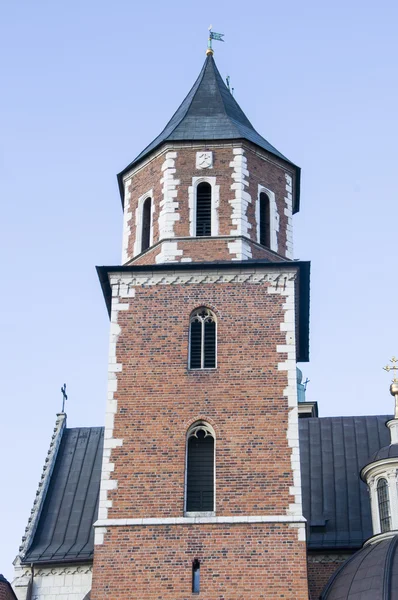 Wawel hill Katedrali ve Krakow kalede