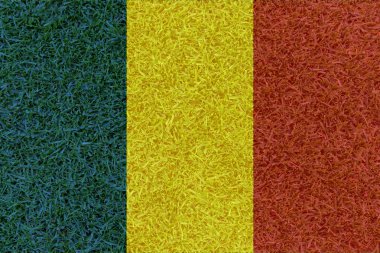 Romanya Ulusal bayrağını euro tarafından dokulu futbol sahası 2016