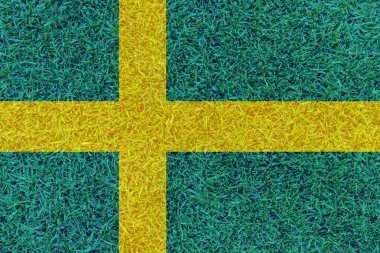 İsveç Ulusal bayrağını euro tarafından dokulu futbol sahası 2016