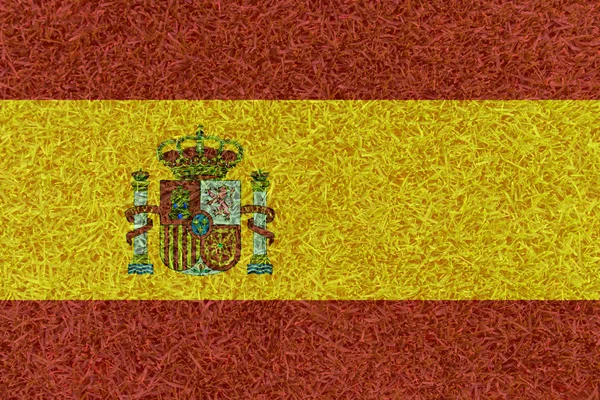 足球场的纹理，西班牙国旗上的欧元 2016年 — 图库照片