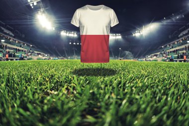 Polonya ulusal bayrağını t-shirt üzerine Futbol Stadyumu