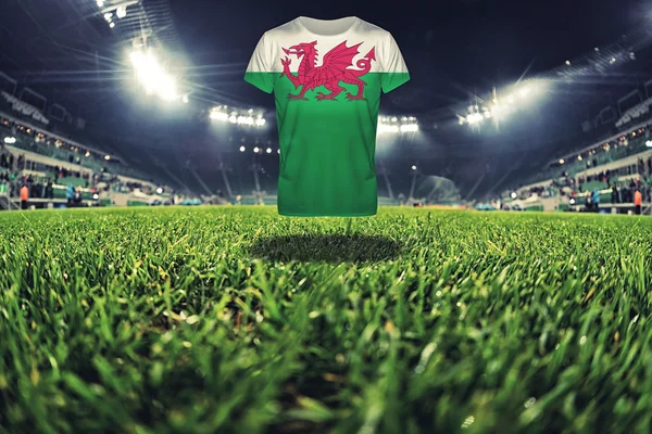 Galler Ulusal bayrağını t-shirt üzerine Futbol Stadyumu — Stok fotoğraf