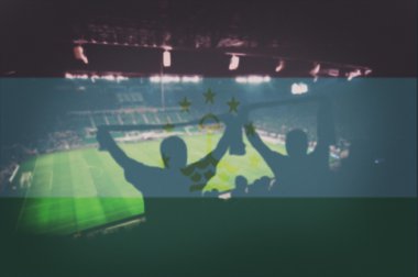 fanlar ve karıştırma Tacikistan bayrağı ile Spor Stadyumu