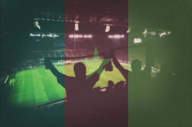 fanlar ve karıştırma Kamerun bayrağı ile Spor Stadyumu