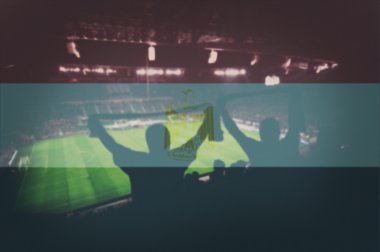 fanlar ve karıştırma Mısır bayrağı ile Spor Stadyumu