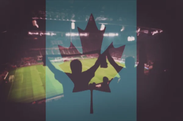 Fanlar ve karıştırma Kanada bayrağı ile Spor Stadyumu — Stok fotoğraf