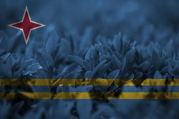 Aruba bayrağı harmanlama ile yaprak üzerinde kapat — Stok fotoğraf