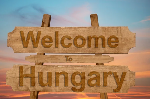 Ласкаво просимо в Угорщині співати на фоні деревини — стокове фото