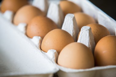 Tavuk yumurta bir kutusunda paketlenmiş.